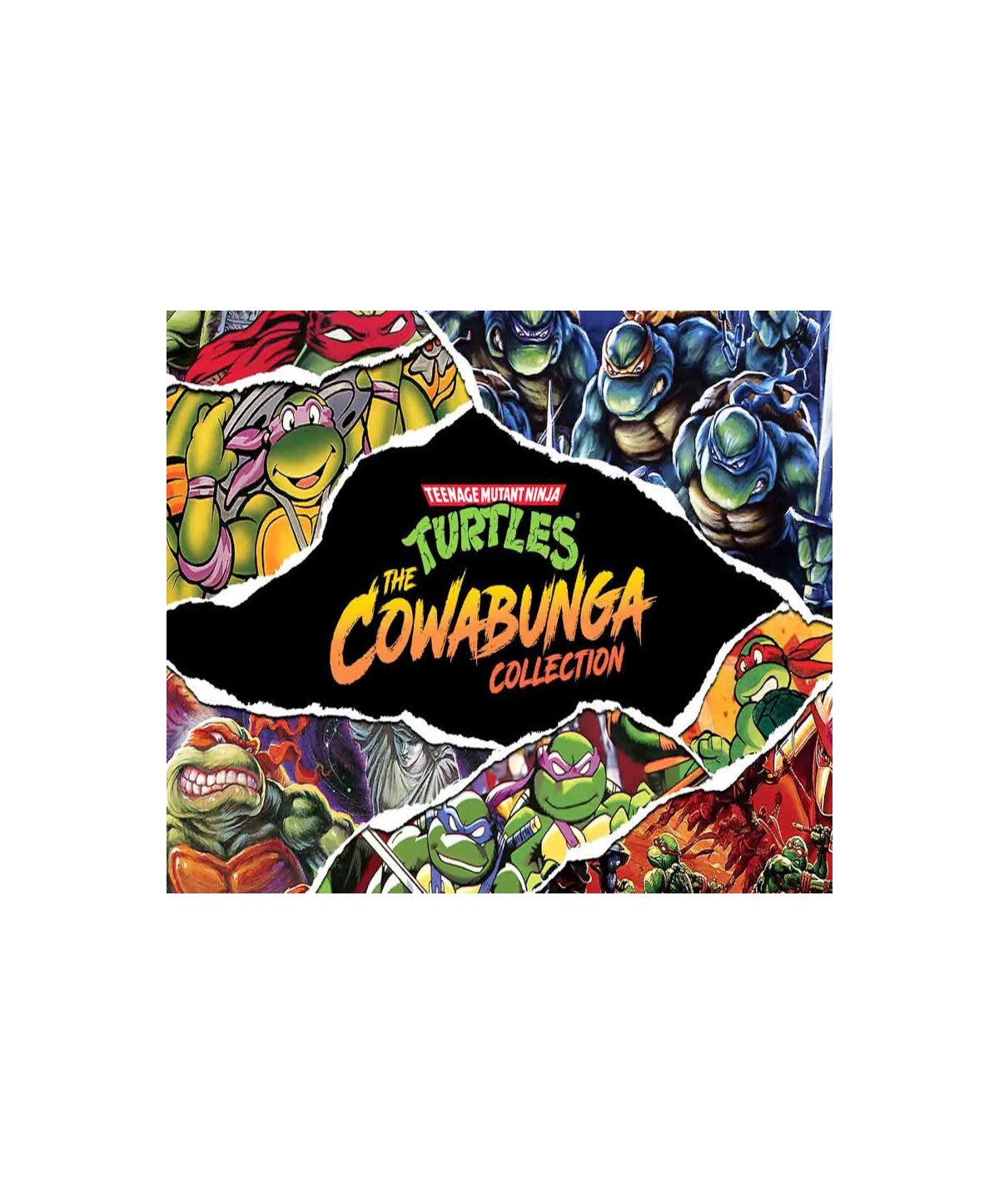 Teenage Mutant Ninja Turtles: The Cowabunga Collection XBOX One / Xbox Series X|S Xbox One Key EUROPE